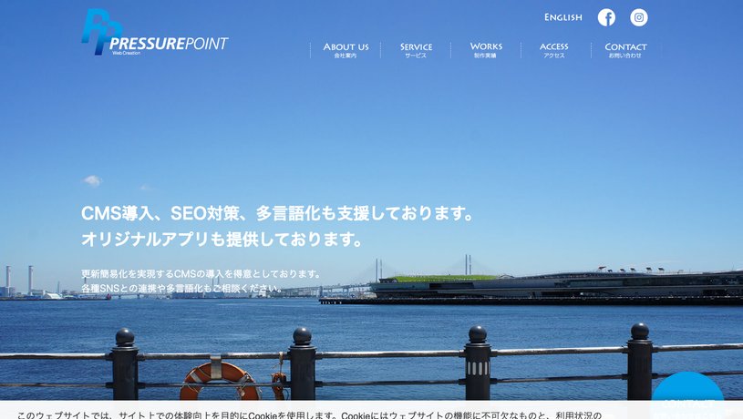株式会社プレッシャーポイントのホームページ画面